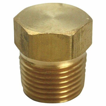 HOMEPLUS+ CORED HEX PLUG 1/2in. MPT 6JC120810701019